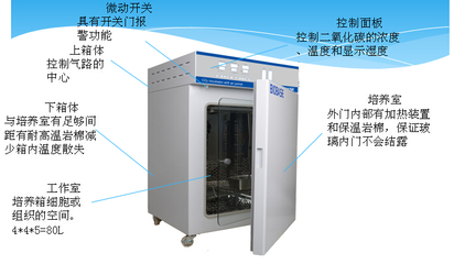 QP-80二氧化碳培養(yǎng)箱價格與80L容積產(chǎn)品供應(yīng)信息簡介